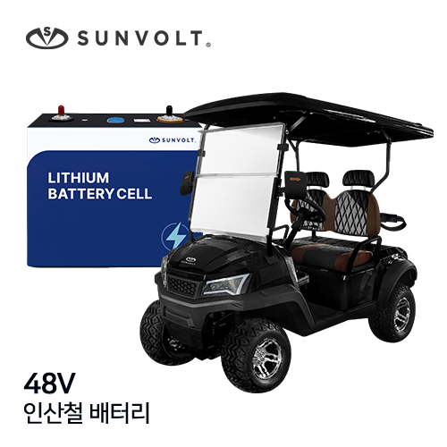 [골프카트] 48v 인산철 배터리
