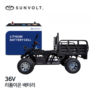 [전동카트] 36v 리튬이온 배터리